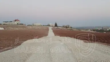 أرض في مادبا - بمنطقة لويز - 209,926 دأ - صورة NaN